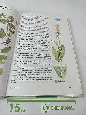 От земли до неба. Атлас-определитель по природоведению и экологии для учащихся начальных классов