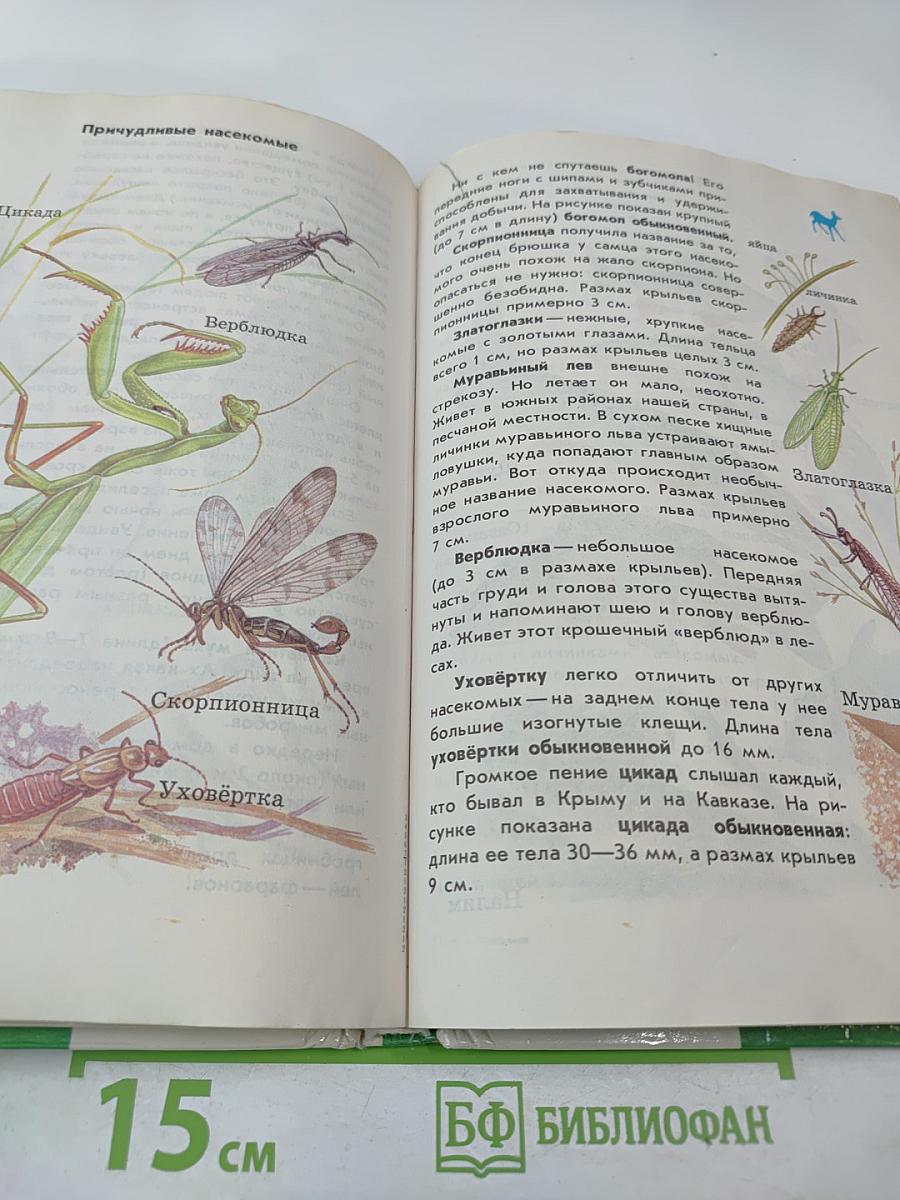 От земли до неба. Атлас-определитель по природоведению и экологии для учащихся начальных классов