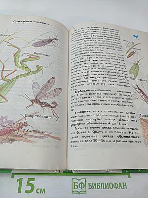 От земли до неба. Атлас-определитель по природоведению и экологии для учащихся начальных классов