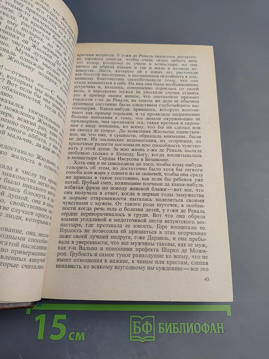 Красное и Черное. Тома 1-2