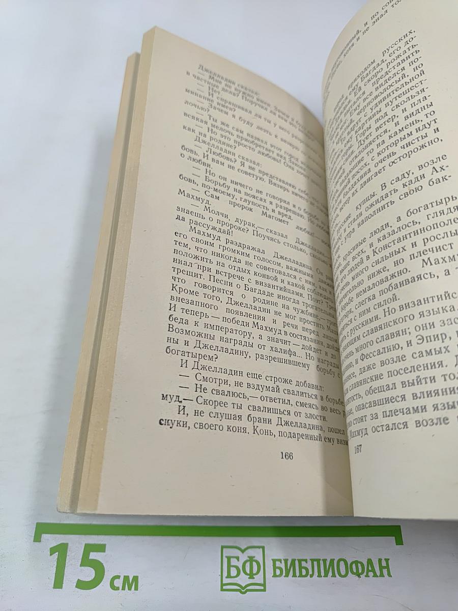 Пасмурный лист