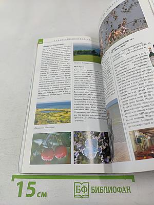 Анапа и окрестности