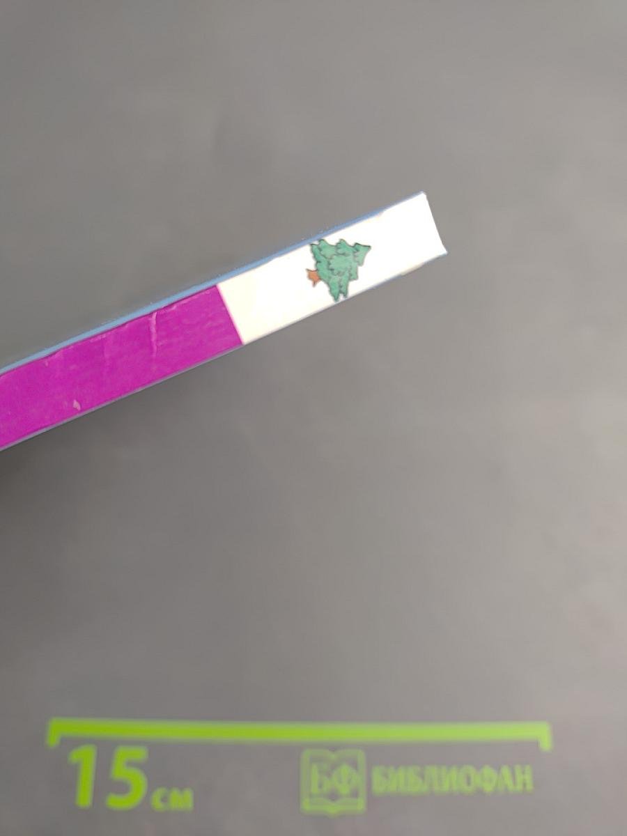 T'choupi à la neige