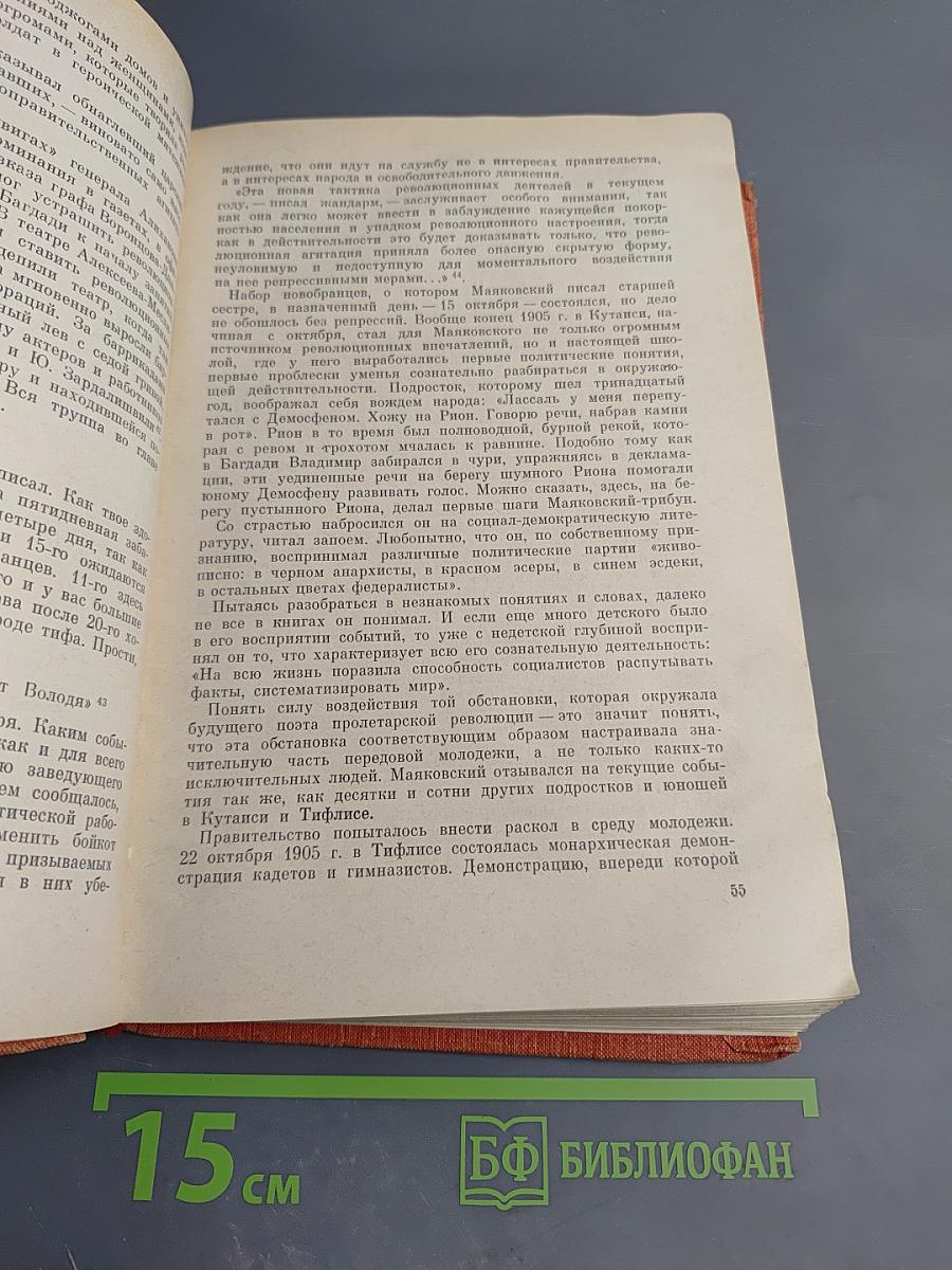 Маяковский. Жизнь и творчество (1893–1917)