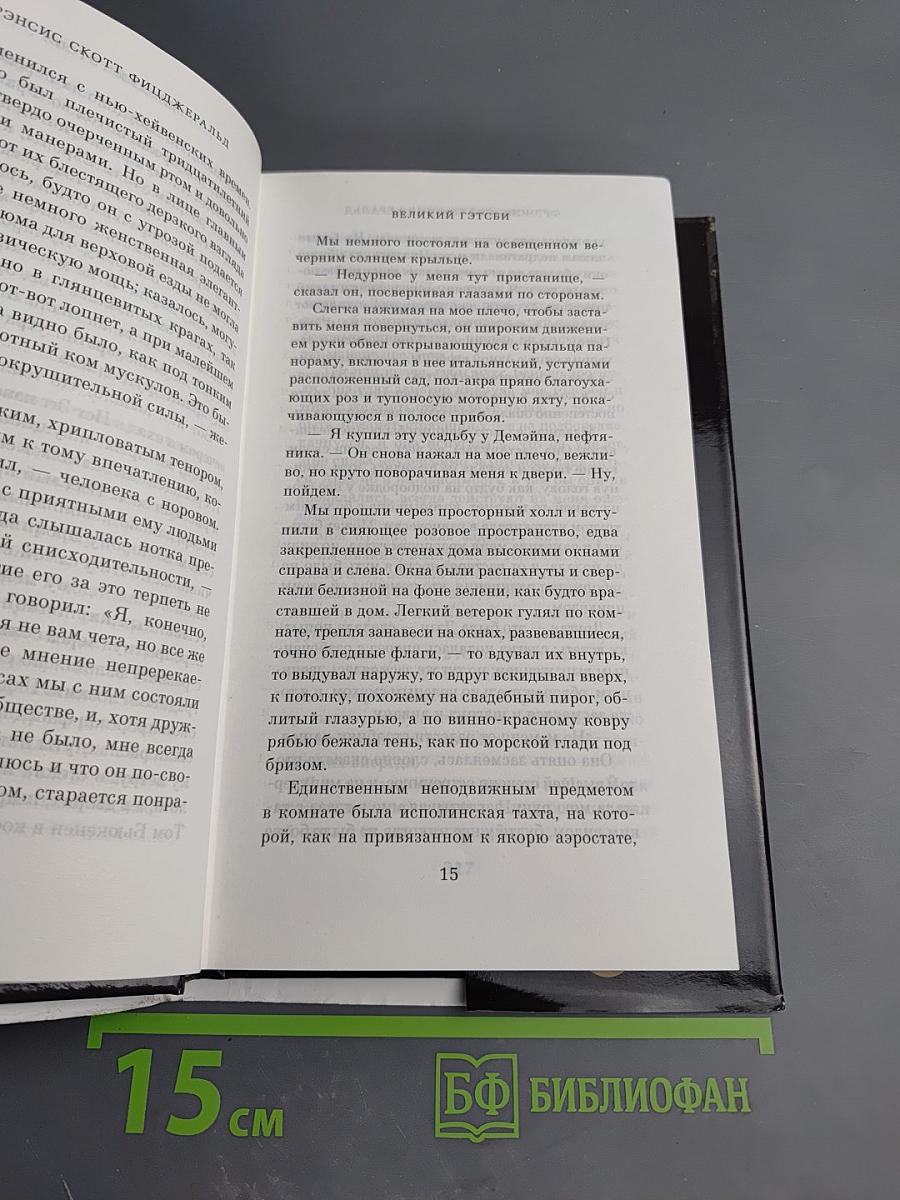 Великий Гэтсби