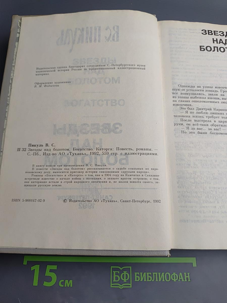 Звезды над болотом