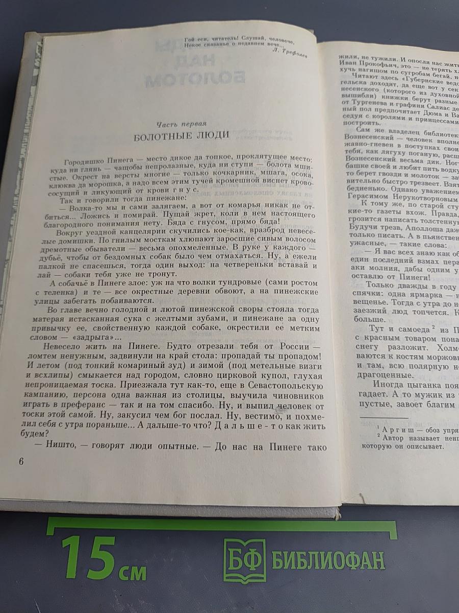 Звезды над болотом