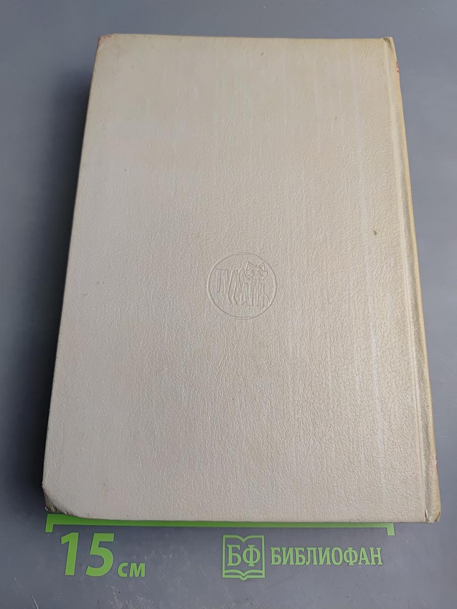 Звезды над болотом