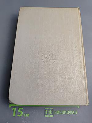 Звезды над болотом