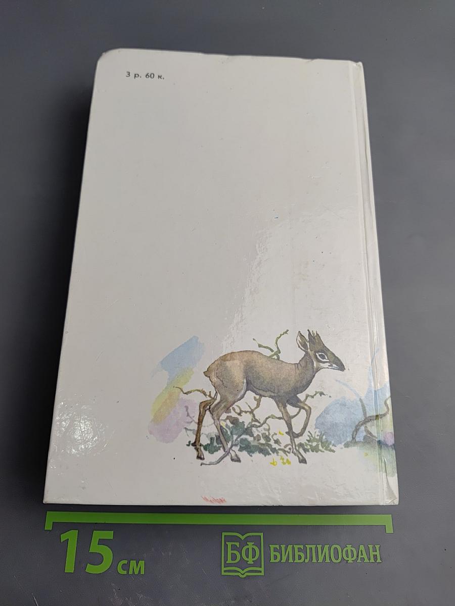 Под пологом пьяного леса