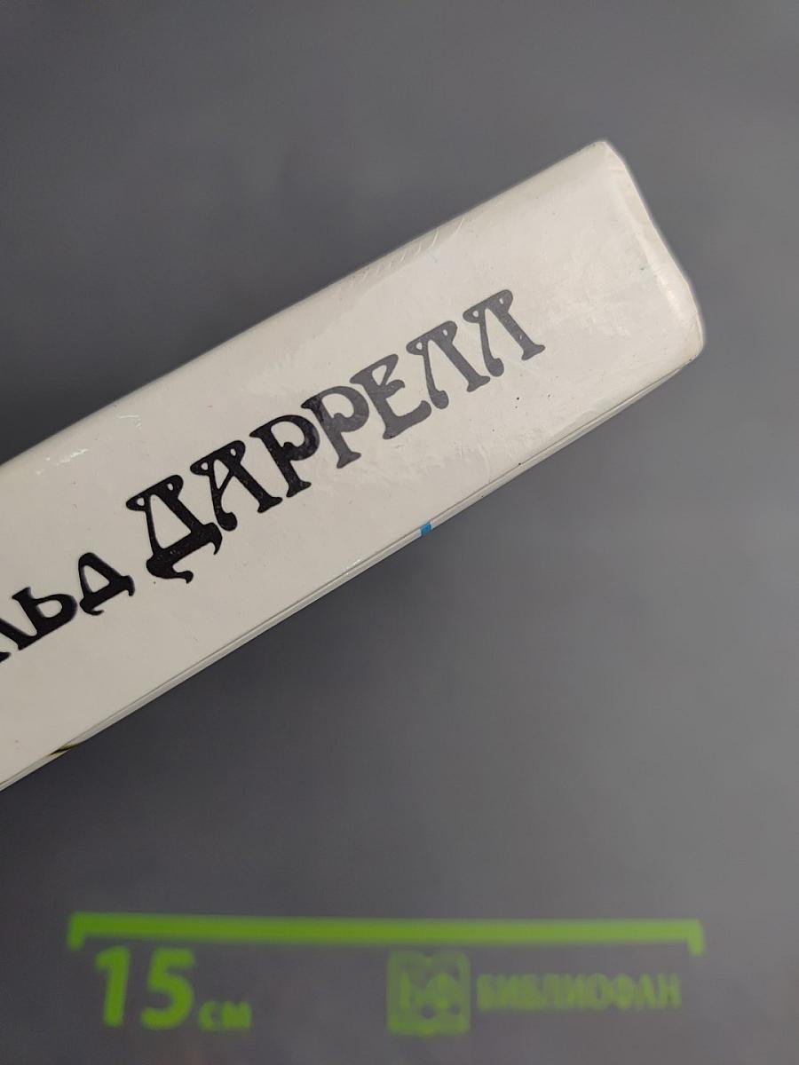 Под пологом пьяного леса