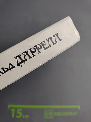 Под пологом пьяного леса