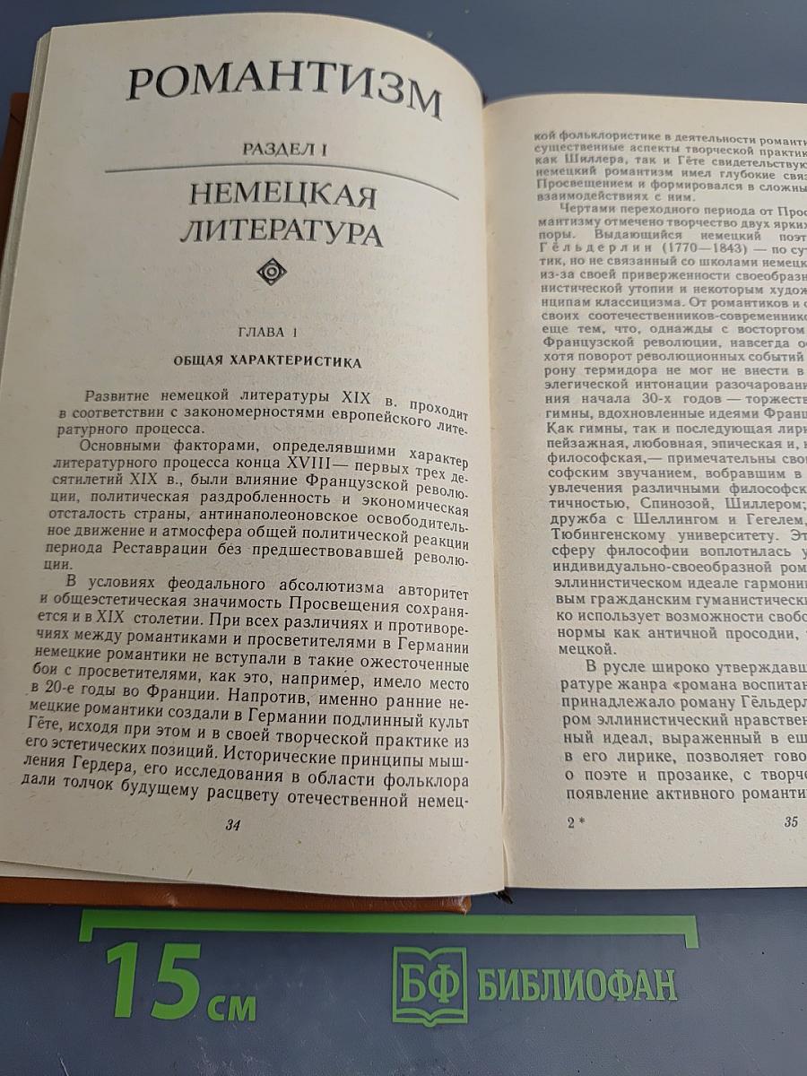 История зарубежной литературы XIX века