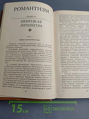 История зарубежной литературы XIX века