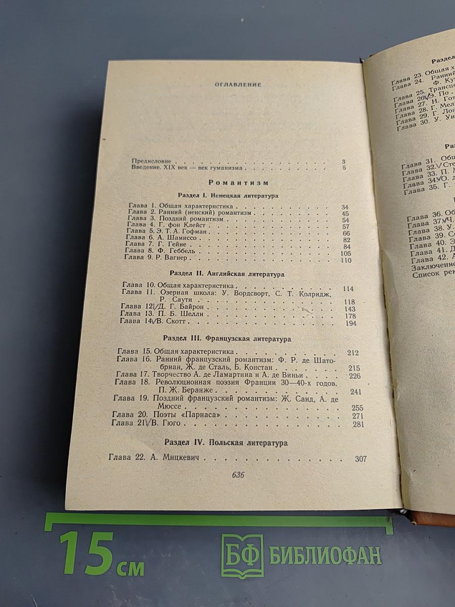 История зарубежной литературы XIX века