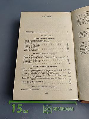 История зарубежной литературы XIX века