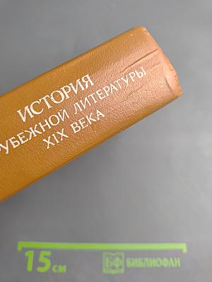 История зарубежной литературы XIX века