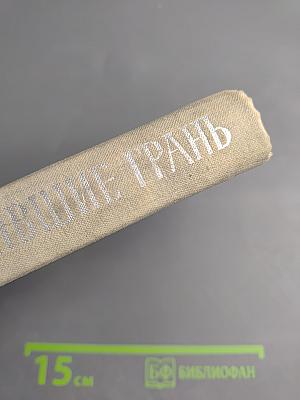 Преступившие грань