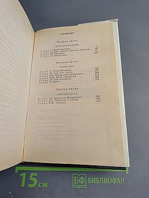 Флорентийка. Книга третья. Фьора и Папа Римский