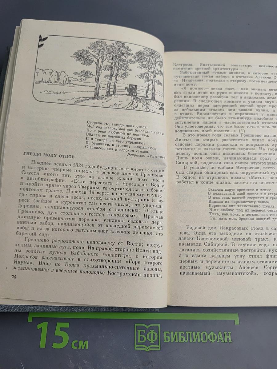 Сеите разумное... Очерки о жизни и творчестве П. А. Некрасова