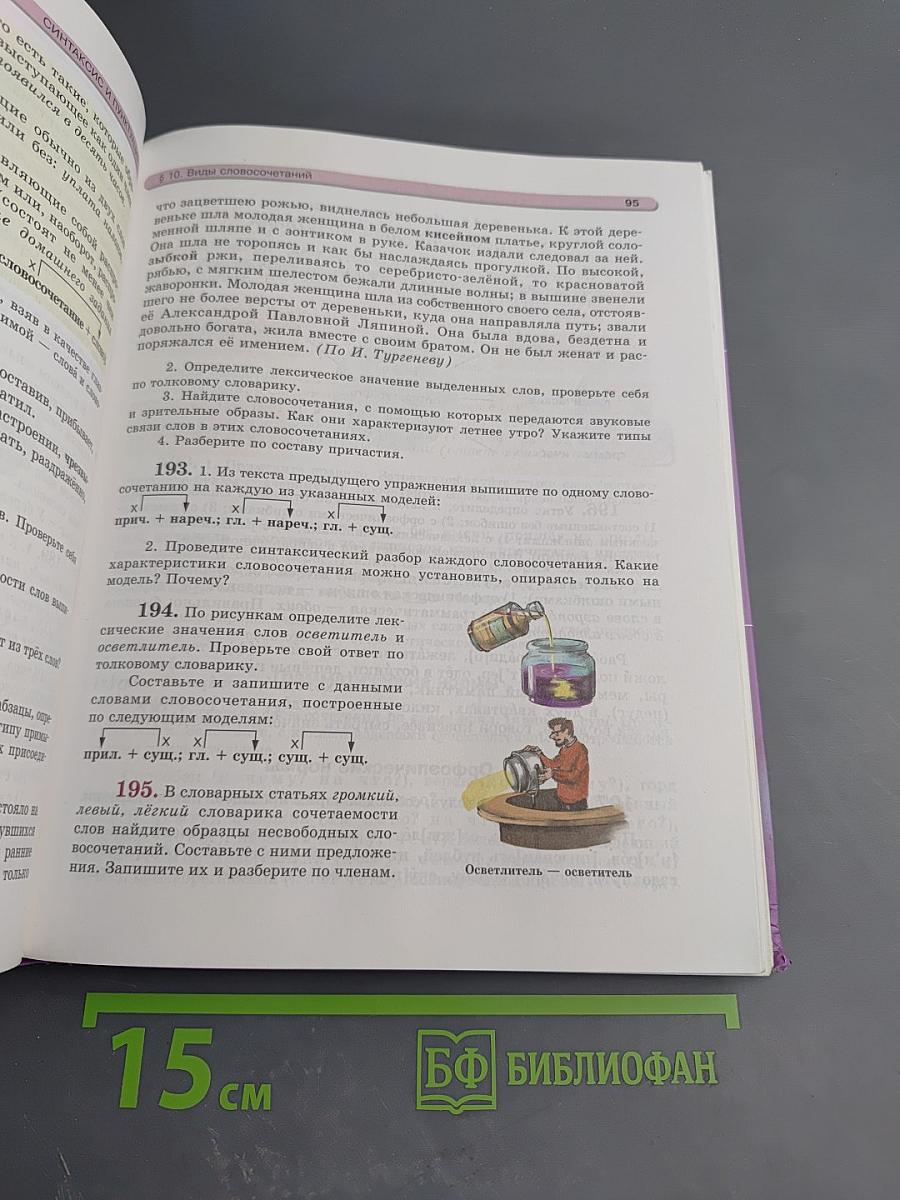 Русский язык. 8 класс. Учебник. Часть 1