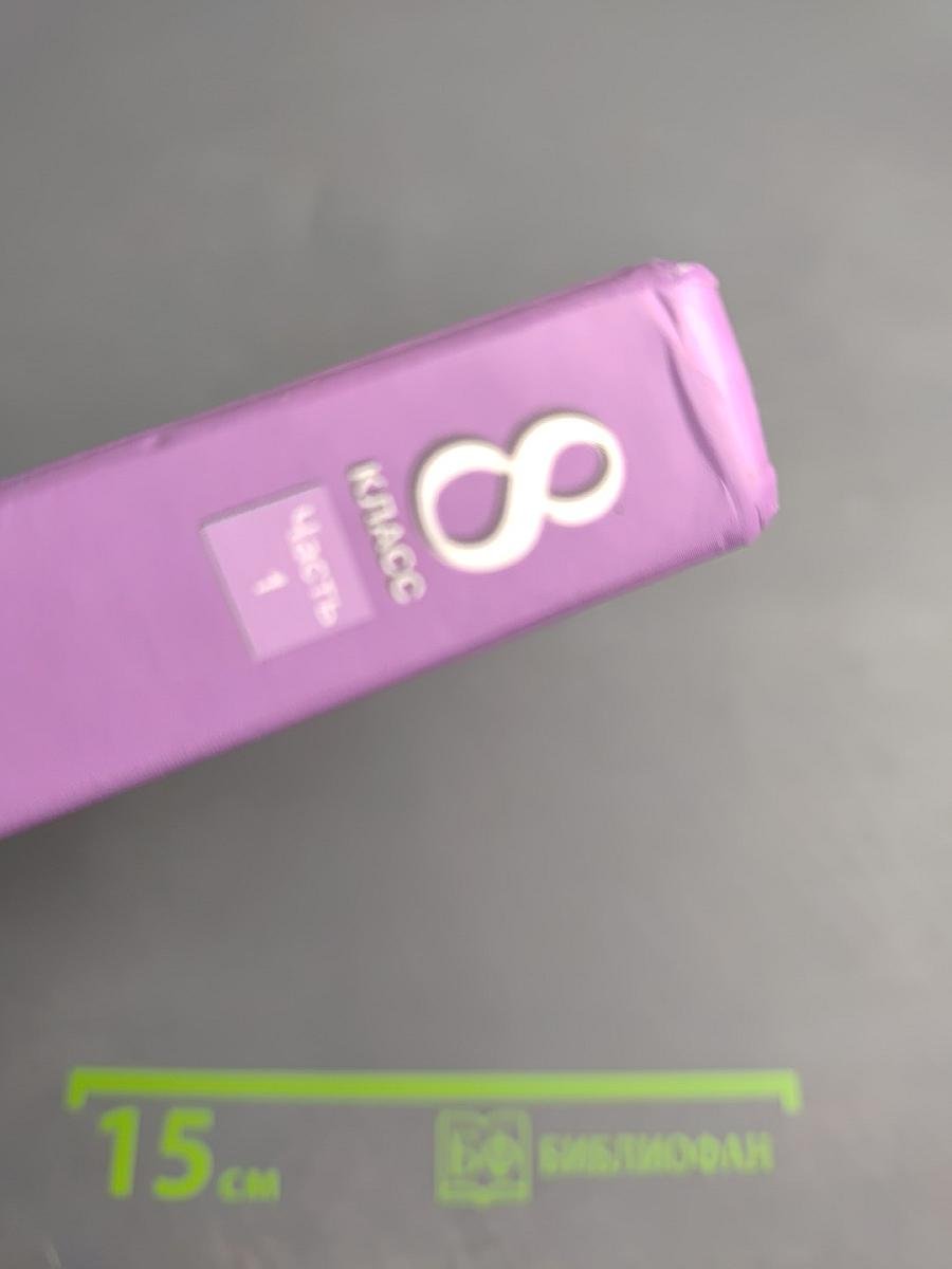 Русский язык. 8 класс. Учебник. Часть 1