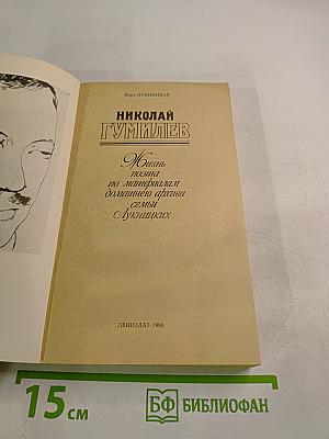 Николай Гумилев. Жизнь поэта по материалам домашнего архива семьи Лукницких
