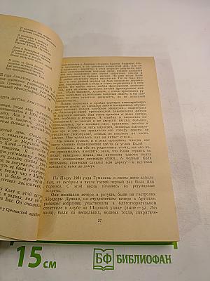 Николай Гумилев. Жизнь поэта по материалам домашнего архива семьи Лукницких
