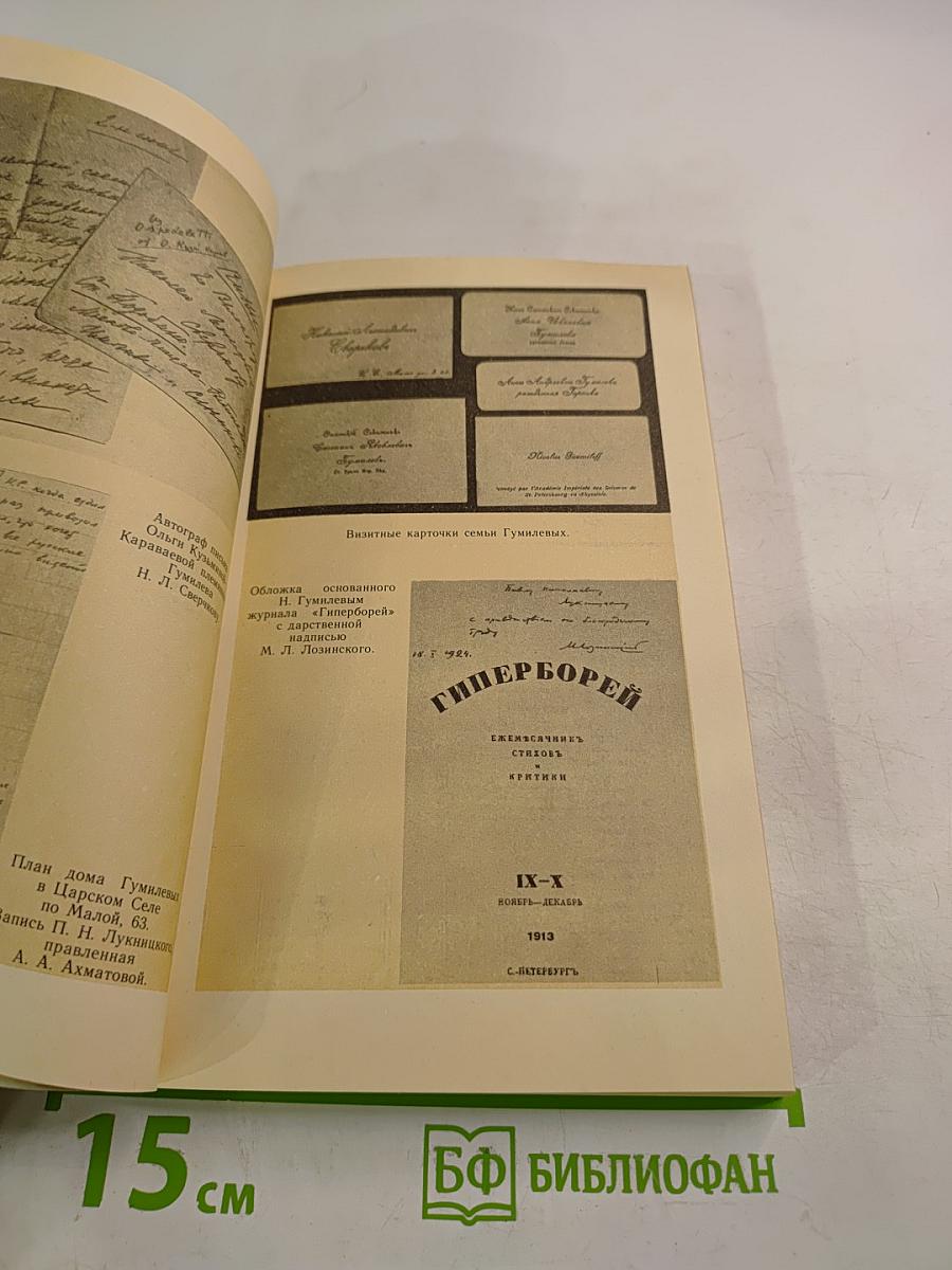 Николай Гумилев. Жизнь поэта по материалам домашнего архива семьи Лукницких