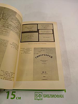 Николай Гумилев. Жизнь поэта по материалам домашнего архива семьи Лукницких