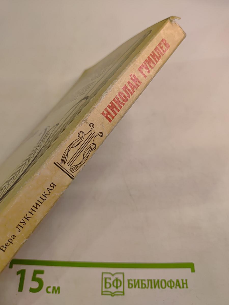 Николай Гумилев. Жизнь поэта по материалам домашнего архива семьи Лукницких