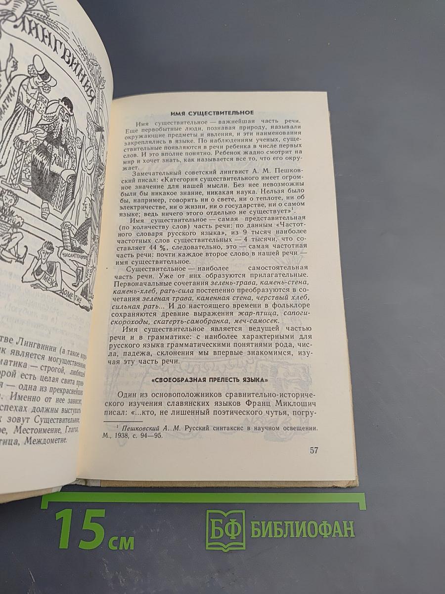 Занимательно о русском языке