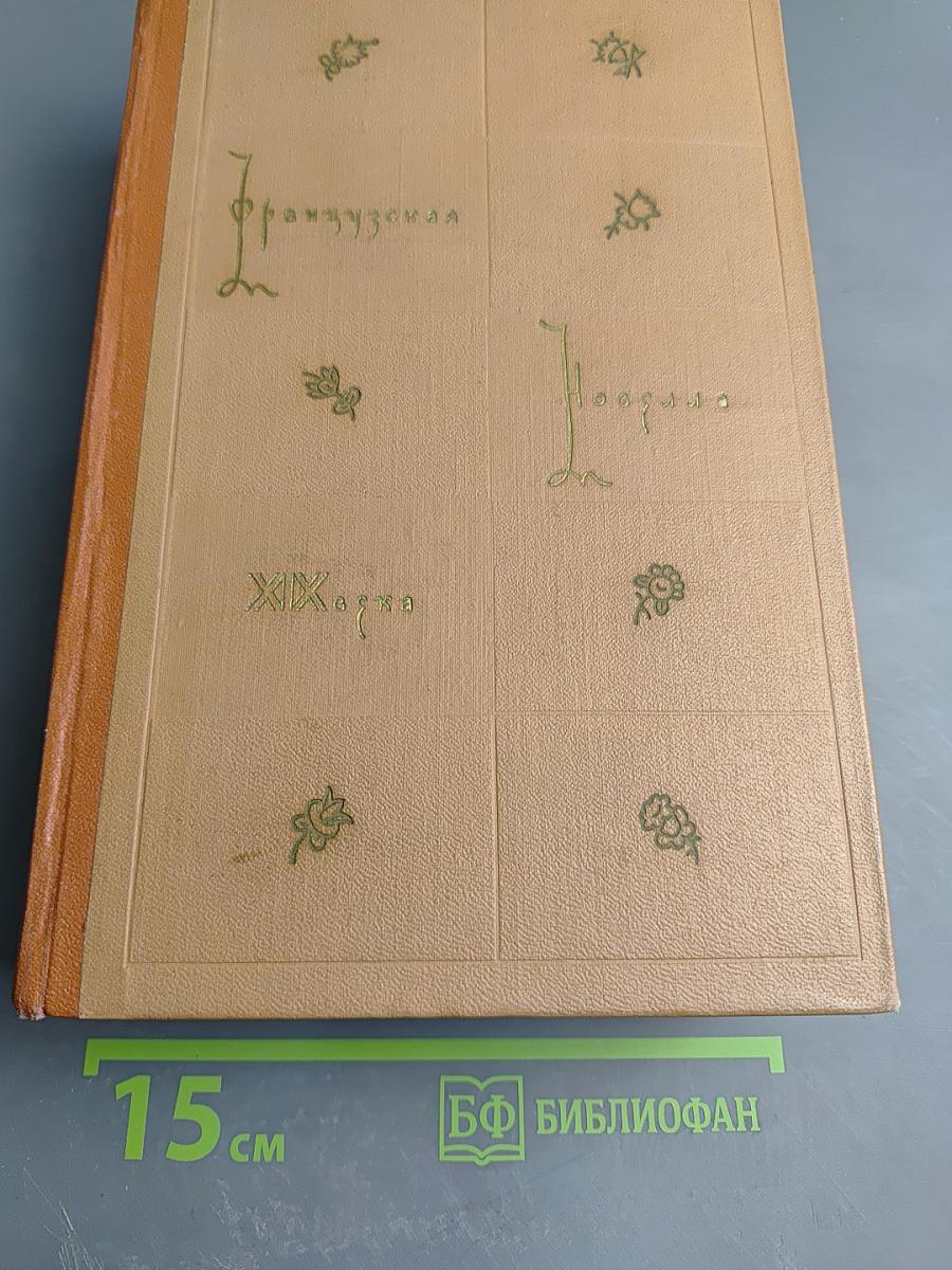 Французская новелла XIX века