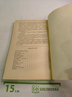 Равнение на знамена