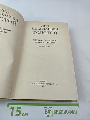 Воскресение (Собрание сочинений. Том 11)