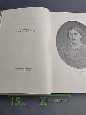 Собрание сочинений. Том второй. Рассказы 1880-1885