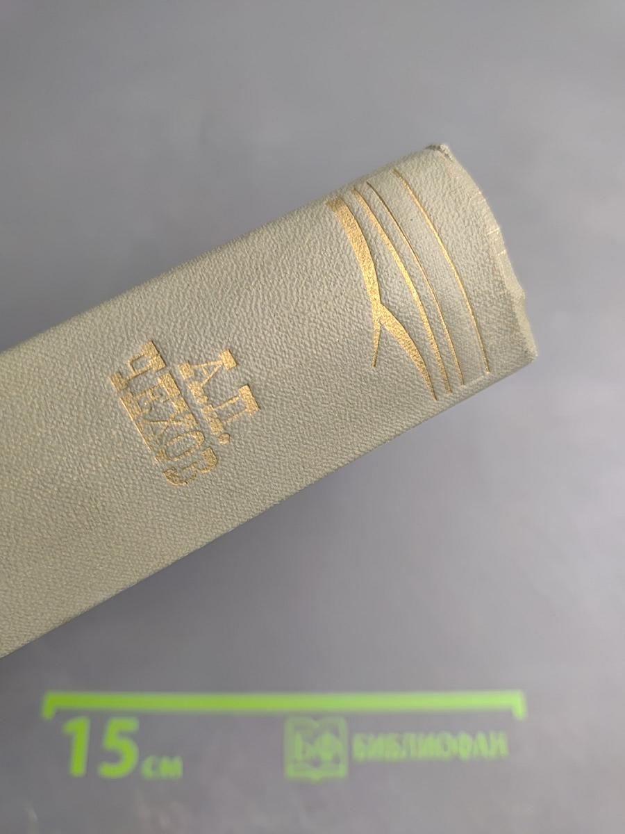 Собрание сочинений. Том второй. Рассказы 1880-1885