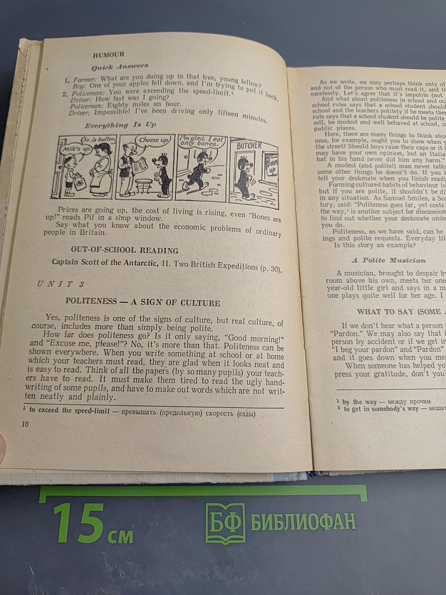 Английский язык. Факультативный курс для 10 класса