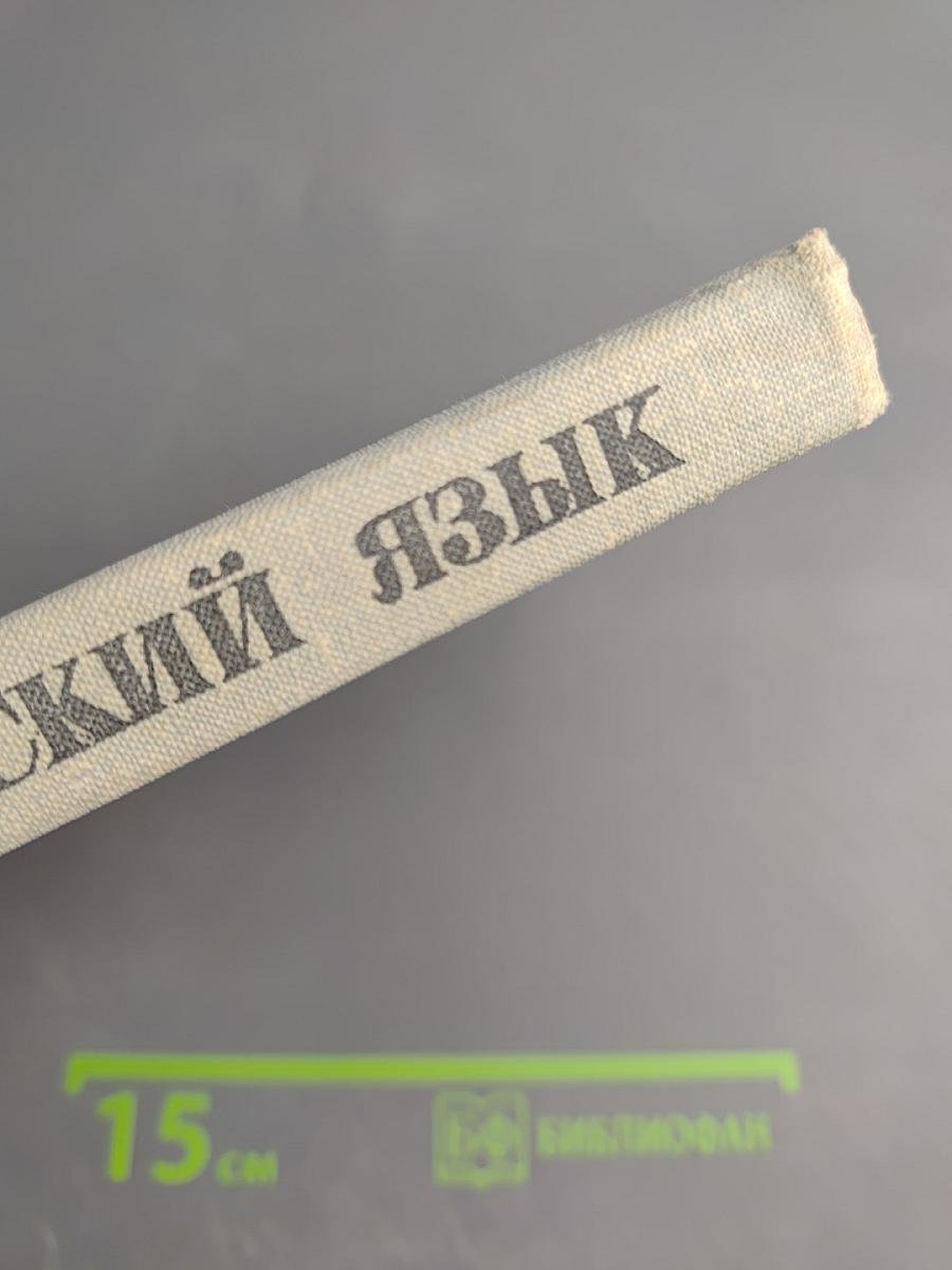 Английский язык. Факультативный курс для 10 класса