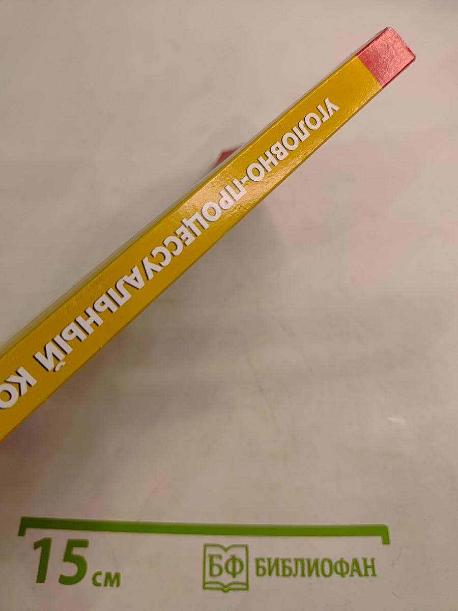 Уголовно-процессуальный кодекс Российской Федерации