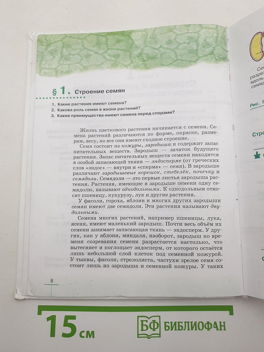 БИОЛОГИЯ. Многообразие покрытосеменных растений