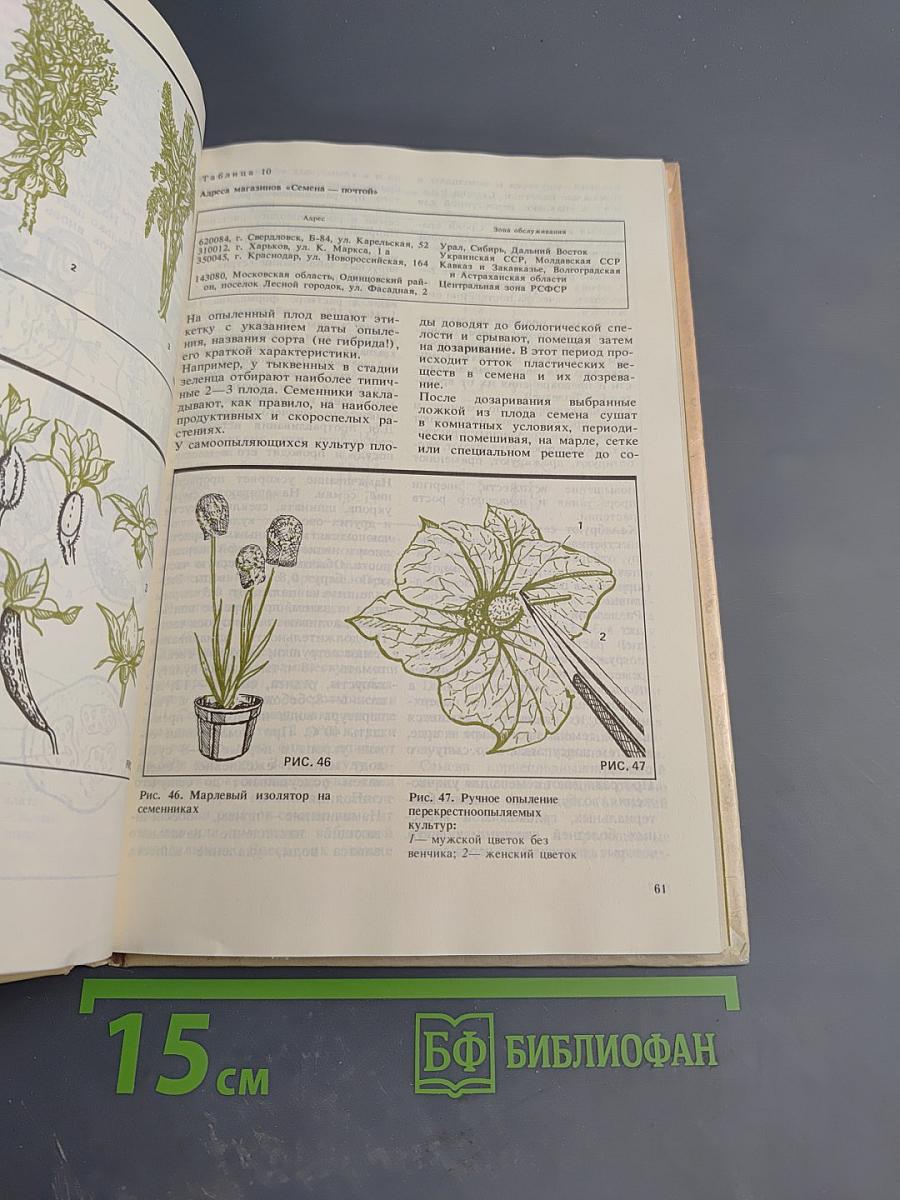 Комнатное овощеводство