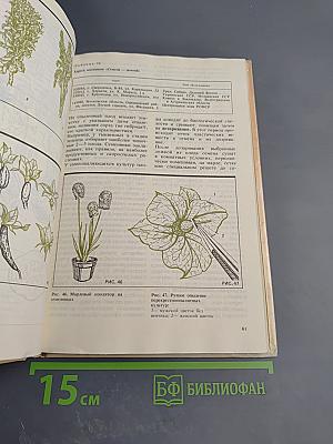 Комнатное овощеводство