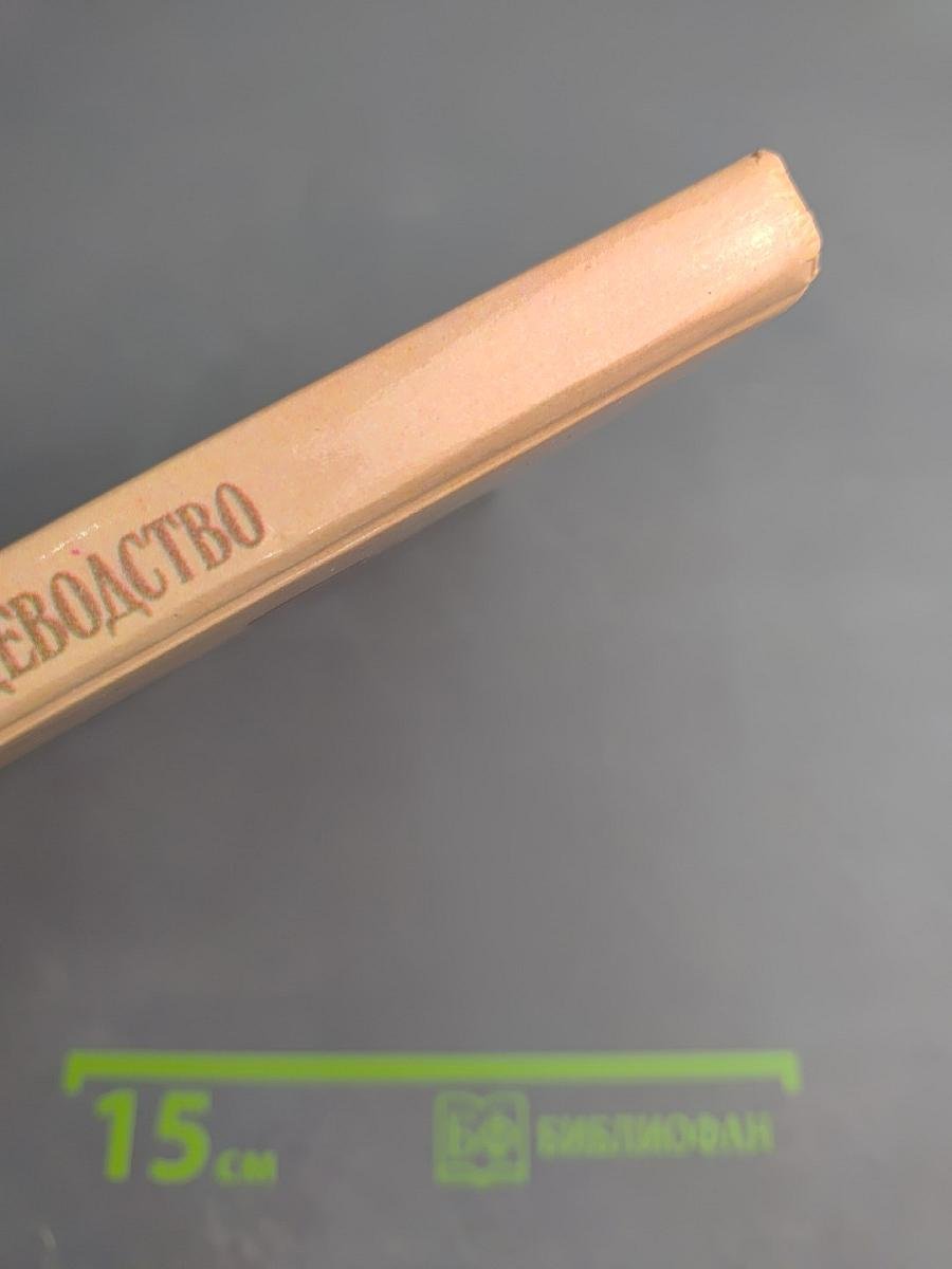 Комнатное овощеводство