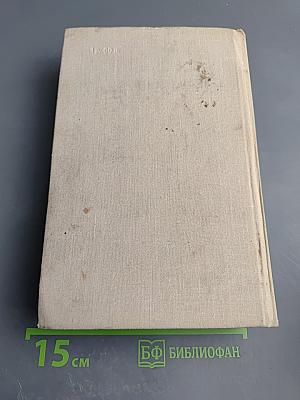 Блокада. Книга пятая