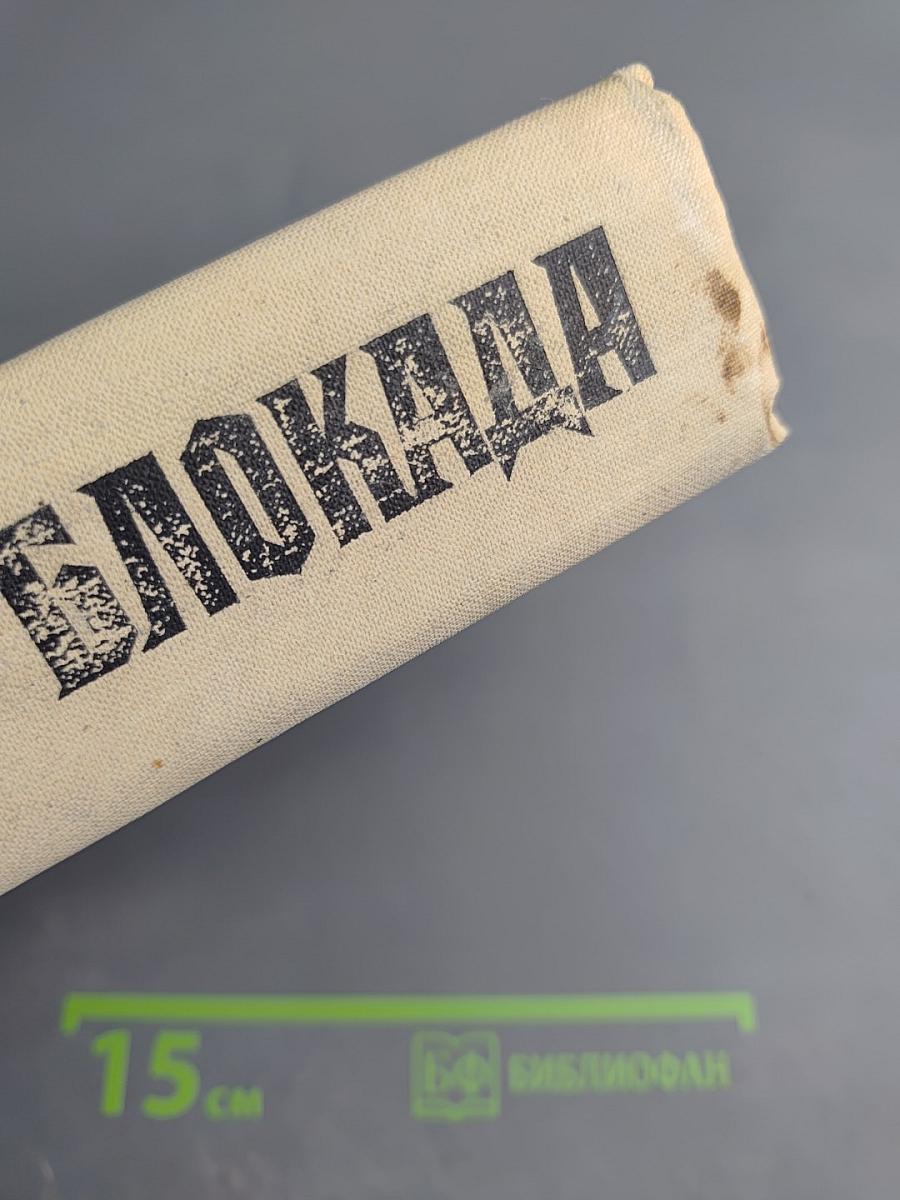 Блокада. Книга пятая