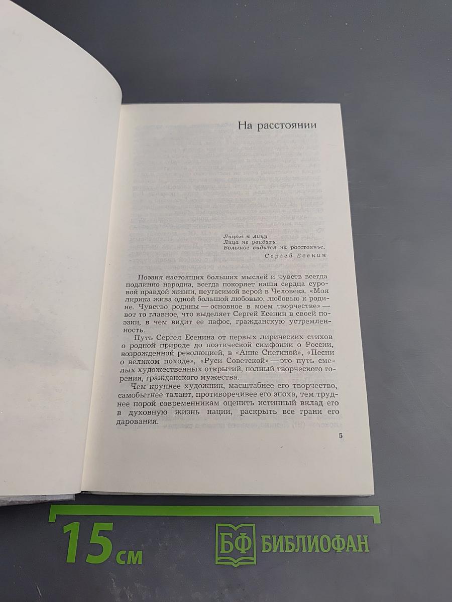 Сергей Есенин. Образ. Стихи. Эпоха