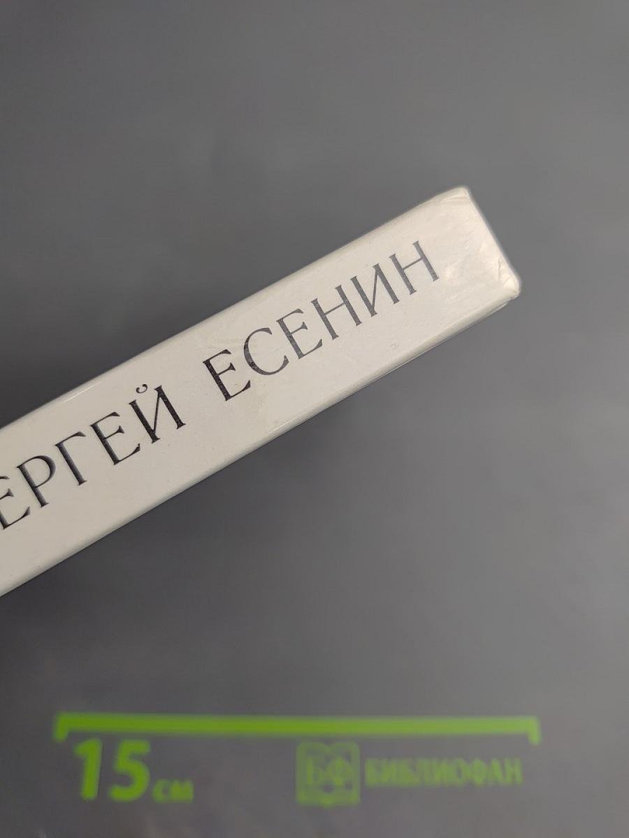 Сергей Есенин. Образ. Стихи. Эпоха