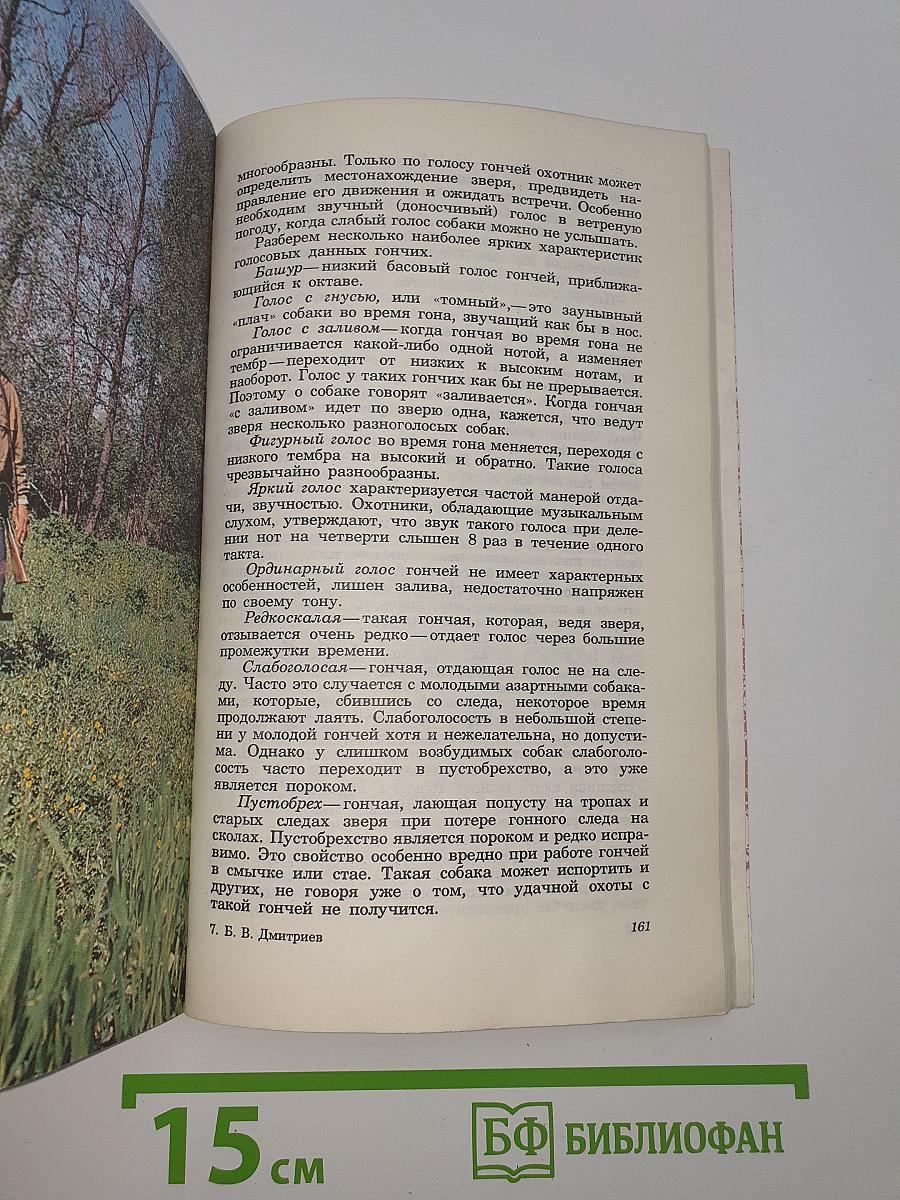 Гончие
