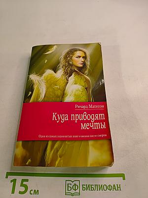 Куда приводят мечты